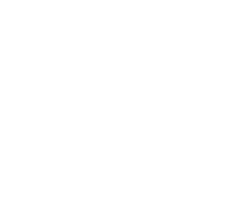 logo rte bianco